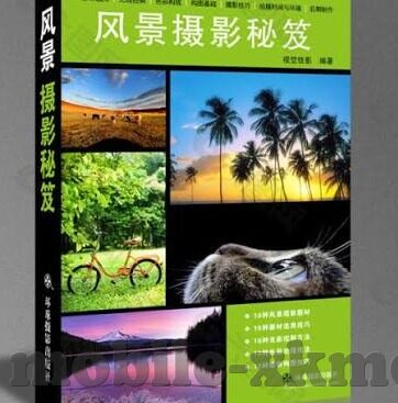 成人午夜男女爽爽视频-成人午夜娱乐的边界与思考