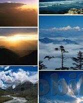 大象传媒-大象传媒，重塑数字时代传播的巨象力量
