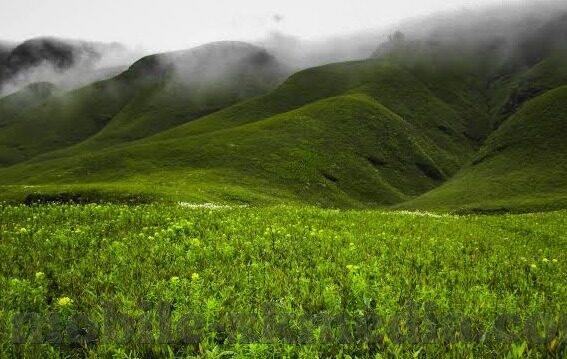 大象传媒合法吗-大象传媒，合法性探析与行业规范