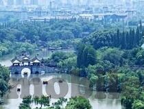 国产91麻豆精品视频-国产影视领航者，品味91麻豆精品视频的独特魅力