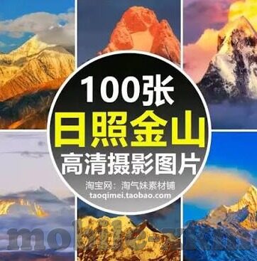 麻豆传媒网站进入-揭秘麻豆传媒网站进入，别有洞天的网络世界