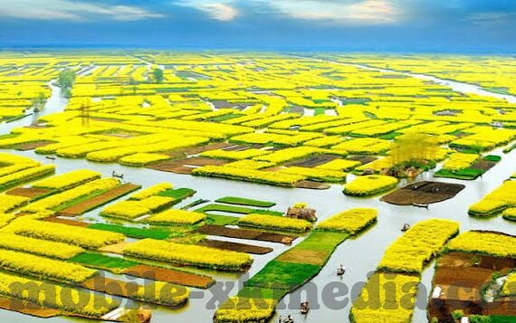 麻豆仁传媒app-麻豆仁传媒APP，助力内容创意与欣赏的全新平台