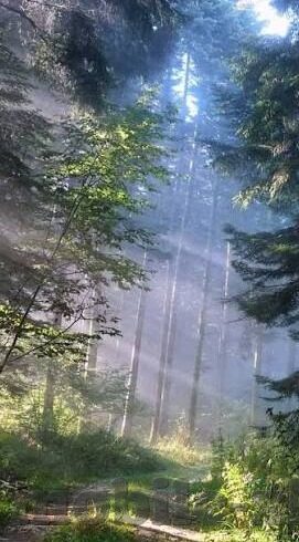 糖心vlog官网i-绽放个性，糖心，在镜头前说真话的人