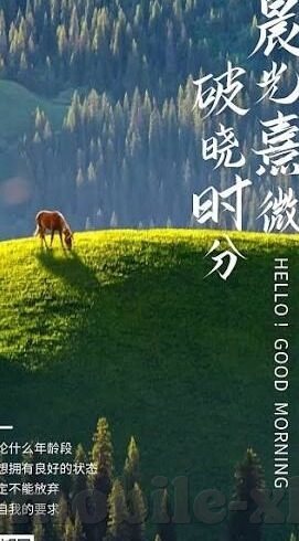 vlog糖心官网苹果版-迷人Vlog，探索糖心官网的苹果版神秘世界
