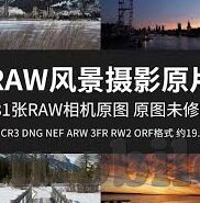 无码精品视频一区二区三区-探索网络视频的多元化与内容质量，一区、二区、三区的深度体验